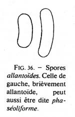 Jos 190 fig 36