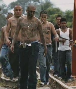 sin_nombre_300x350
