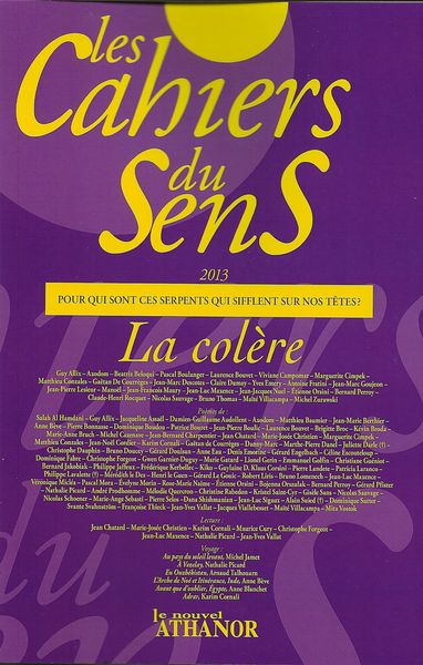 Les Cahiers du Sens 2013