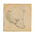 <b>Leonardo</b> <b>da</b> <b>Vinci</b>'s Head of a Boar to be offered at Christie's London in July