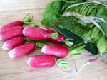 pesto