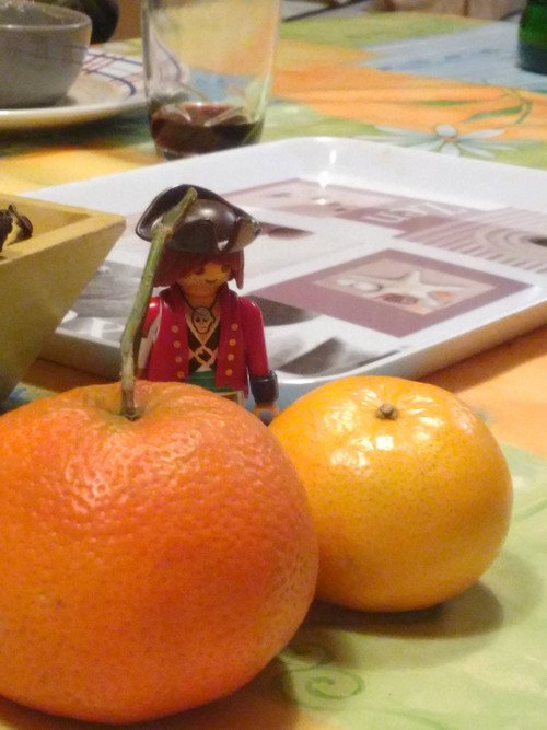Silver-Bill--oranges---L500