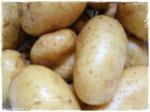 pommes de terre 029