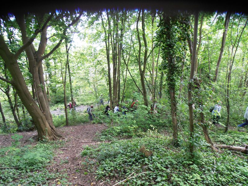 158 - Terril du 6 Hornu-Wasmes - escalade