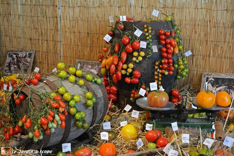 Expo-tomates
