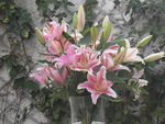 bouquets_044