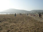 DSCN0345