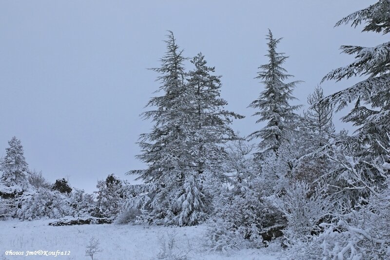 Photos JMP©Koufra 12 - Le Caylar - 01022018 - 033