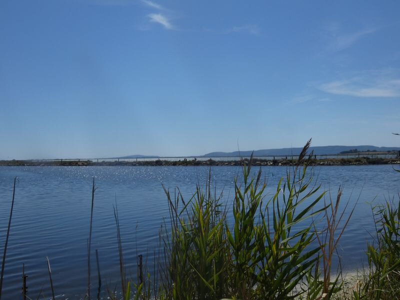 villeneuve-les-maguelone_25-07-2020(8)