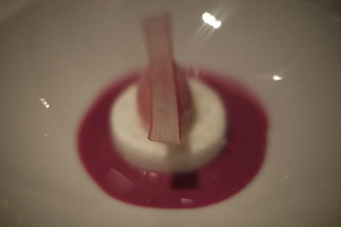 rhubarbe