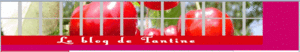 BLOG_DE_TANTINE