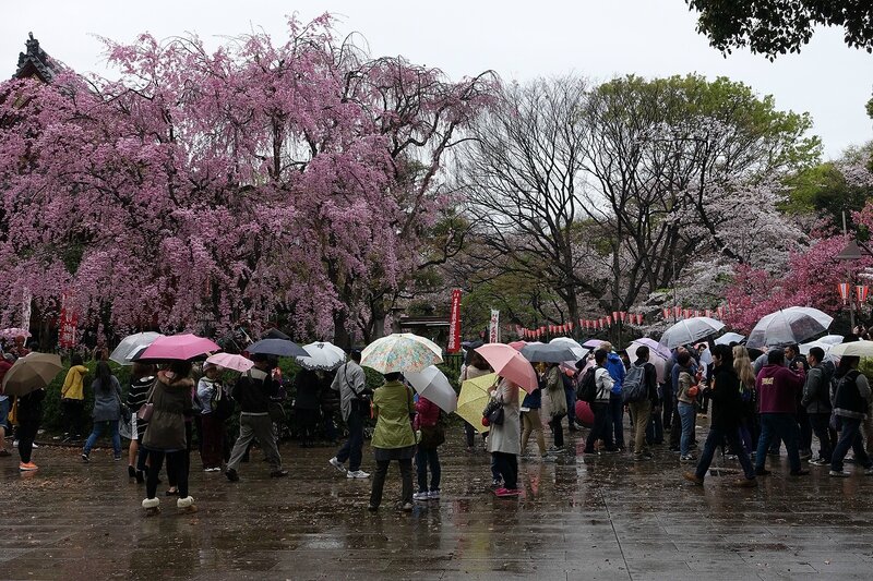 Parc Ueno