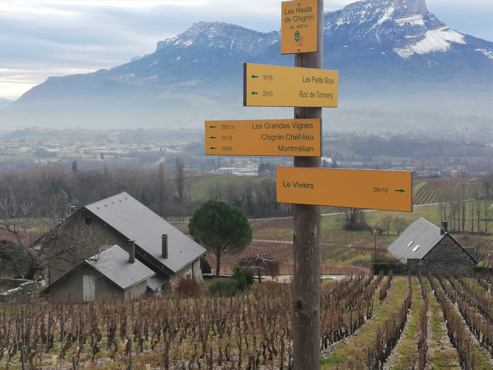 Vignes Chignin 2020 12 17 (23)