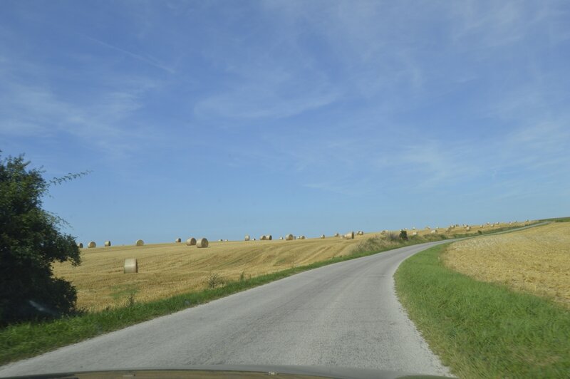 _DSC0040