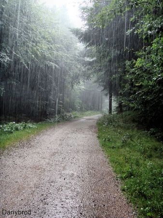 balade sous la pluie