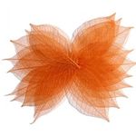 20skeleton_leaves_orange