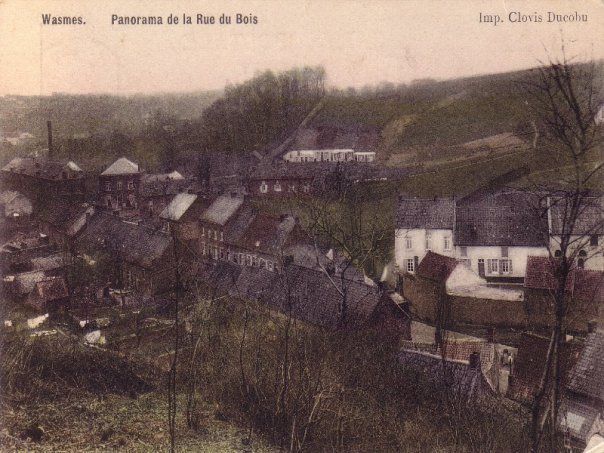 Petit-Wasmes - panorama Rue du Bois - carte postale