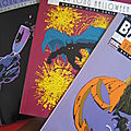 BATMAN - UN LONG HALLOWEEN // Jeph Loeb & <b>Tim</b> <b>Sale</b>