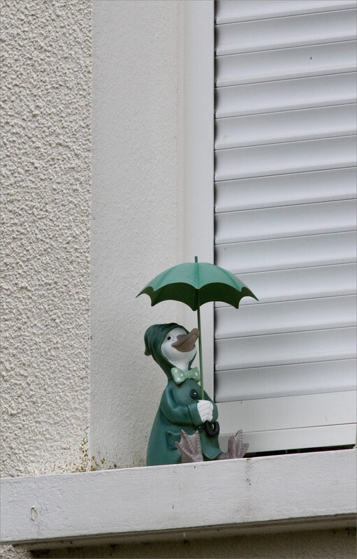 Nature rêvée canard parapluie 110819
