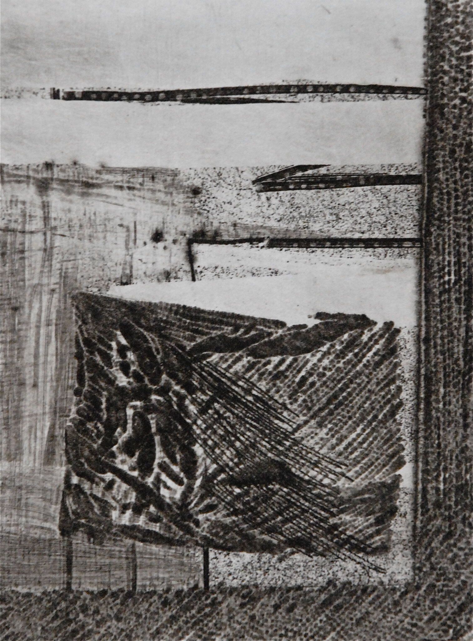 BG1_0280
