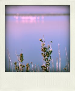 DSC_0273_pola01