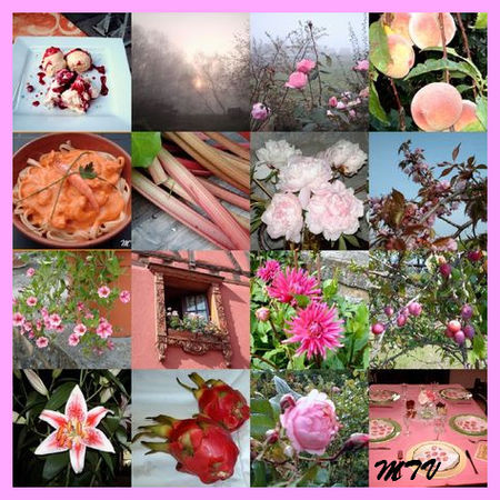 Jardins ouverts sur la vallée