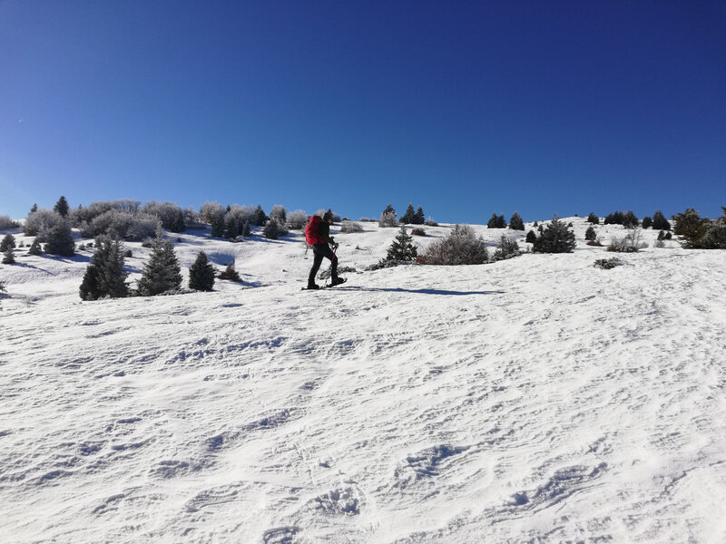 2019 01 03 Margeriaz