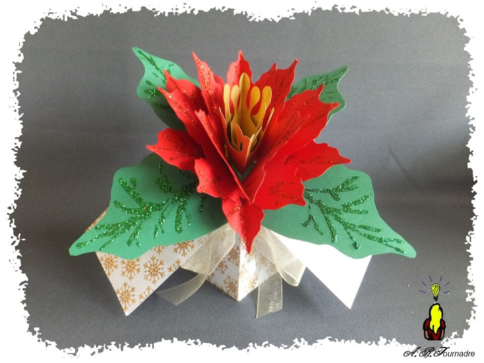 ART 2020 09 carte boite & poinsettia 1