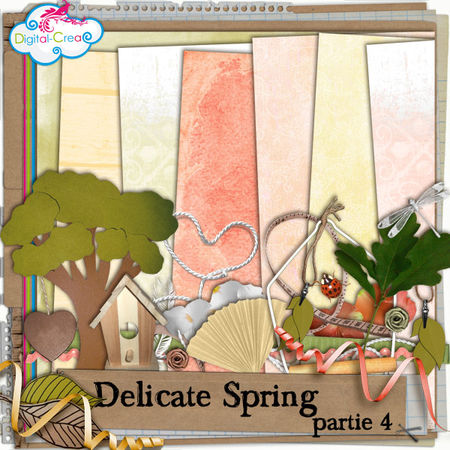 preview_delicatespring_partie4