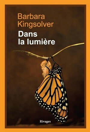 45 Dans la lumière