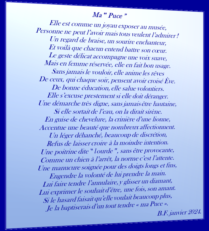 Ma puce p60 L3 m47