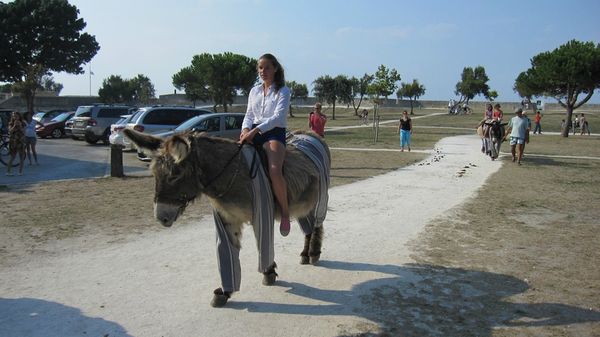 ILE DE RE 2013 151