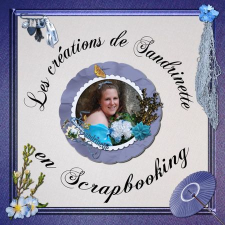 cr_ationsdesandrinetteenscrap_kitbleucommeamoursandrinette___