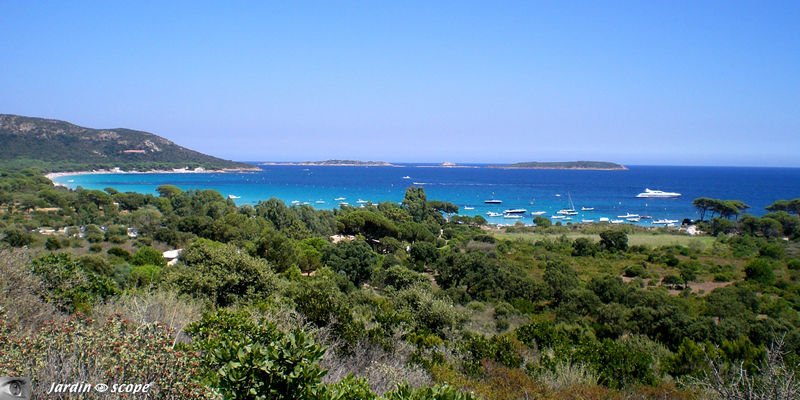 Plage de Palombaggia