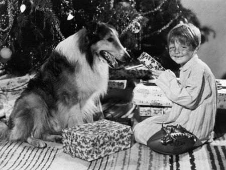 Butch_Jenkins_and_Lassie_at_Christmas