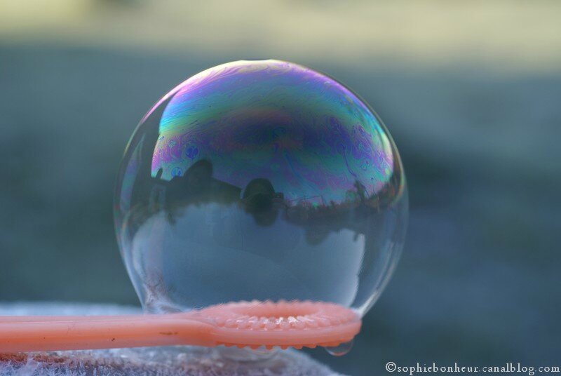 bulle de près