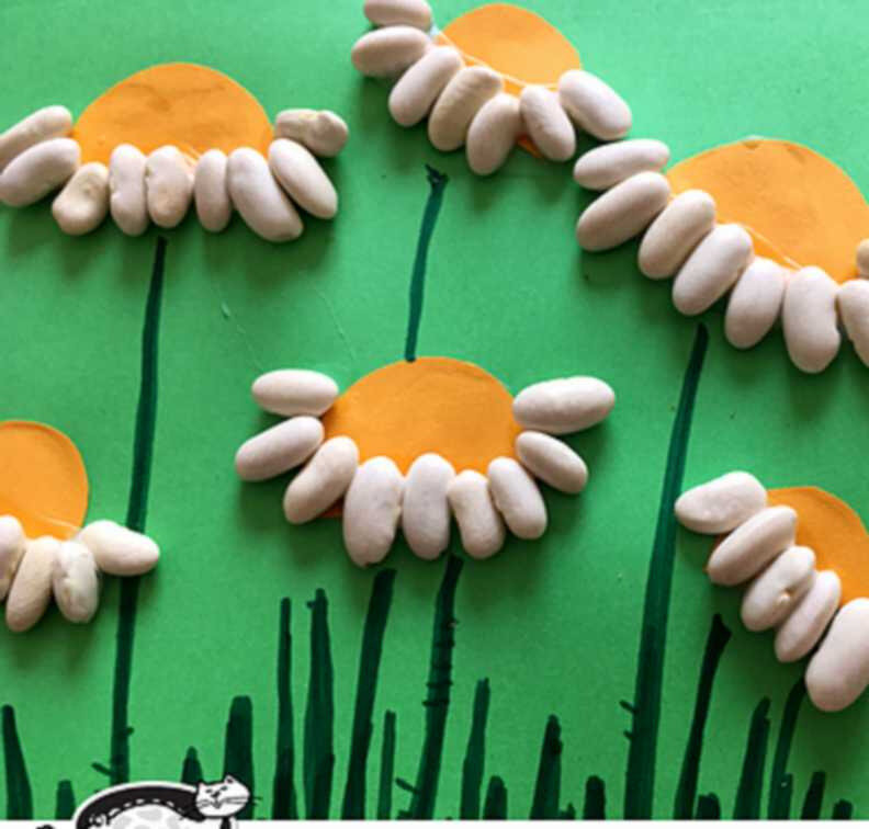 krokotakfleursharicots01b
