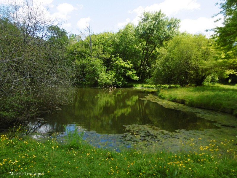 1-Etangs des Gravières 050519