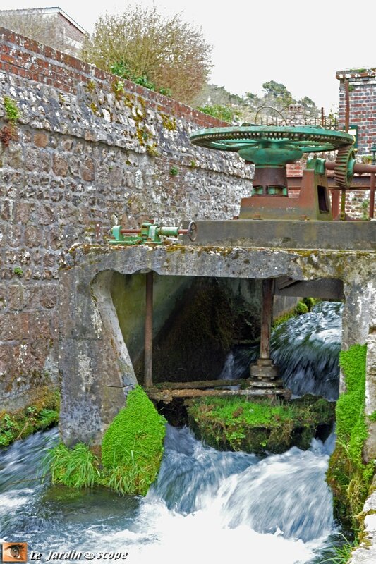 4619-Moulin-2