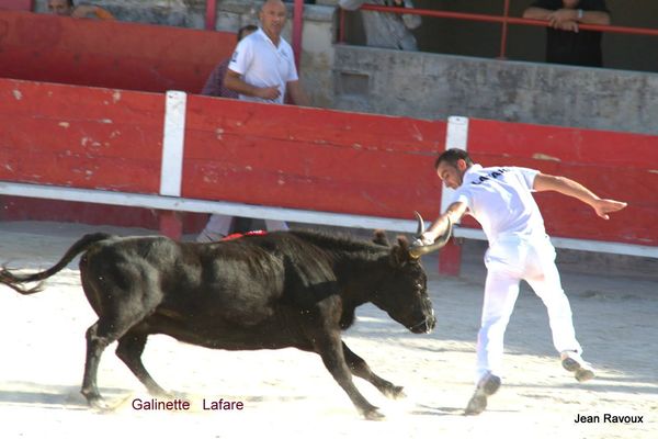 6 - IMG_5416galinette lafare