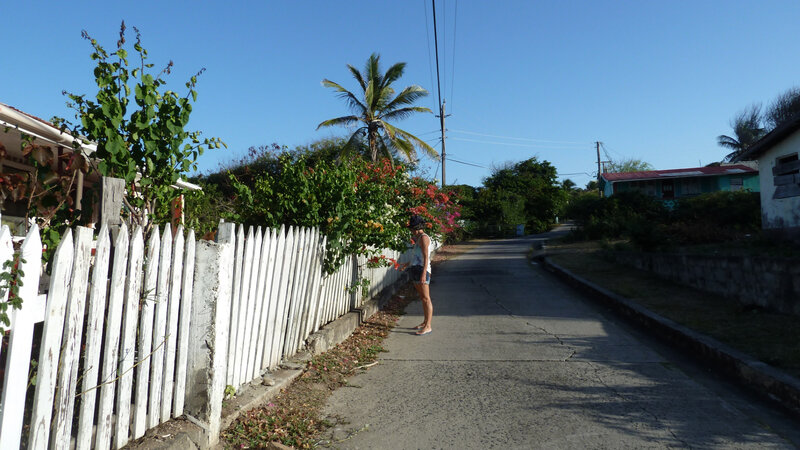 Ile Petite Martinique - GRENADA (6)