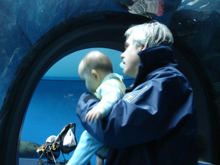 mars2009_aquariumShinagawa032