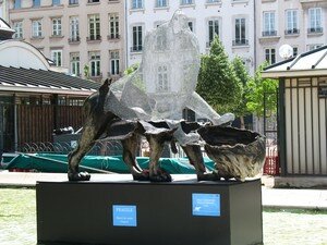 Lions_27_04_08_017