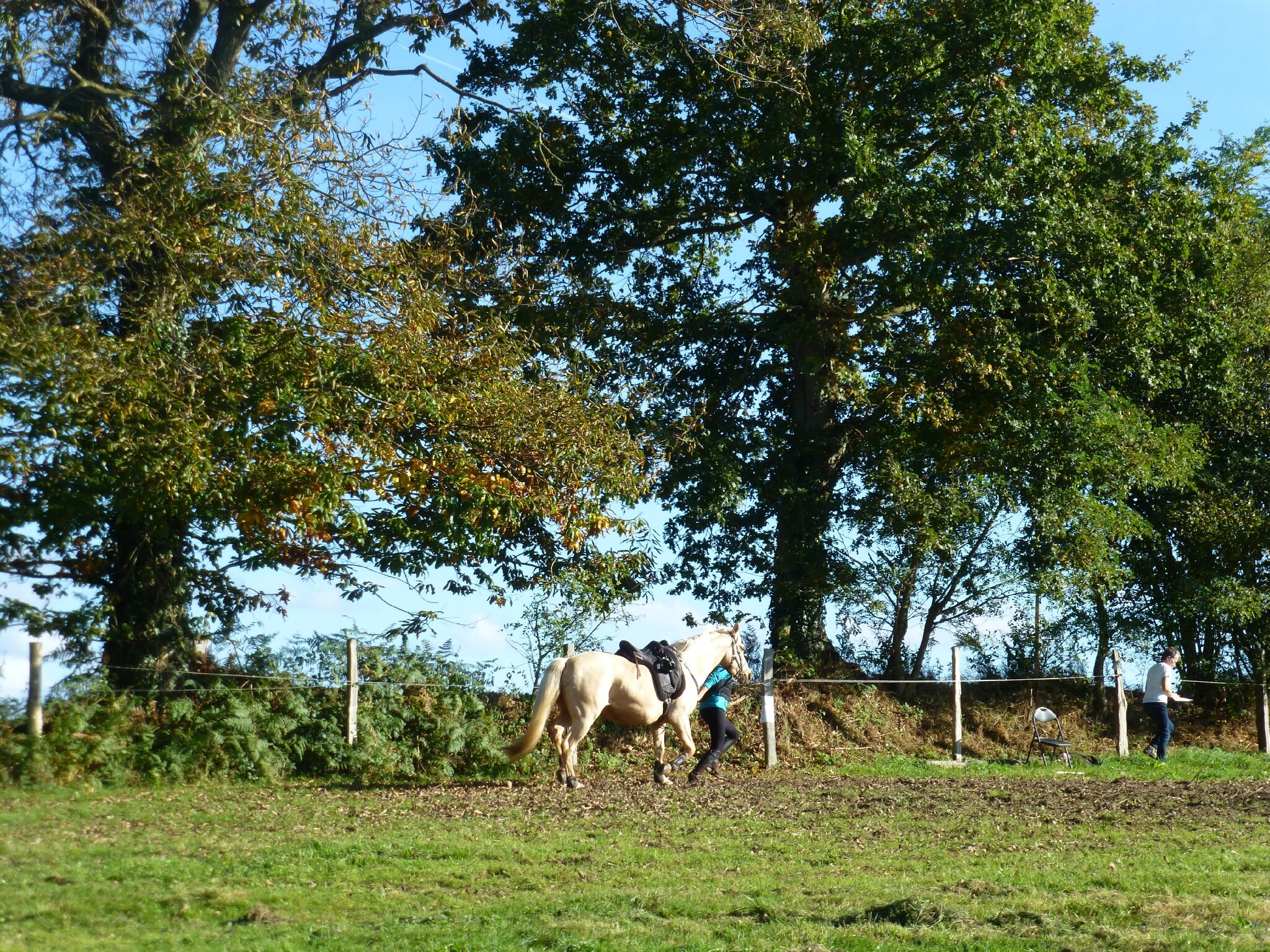 P1150747