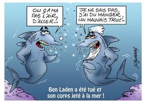 Requin ben laden