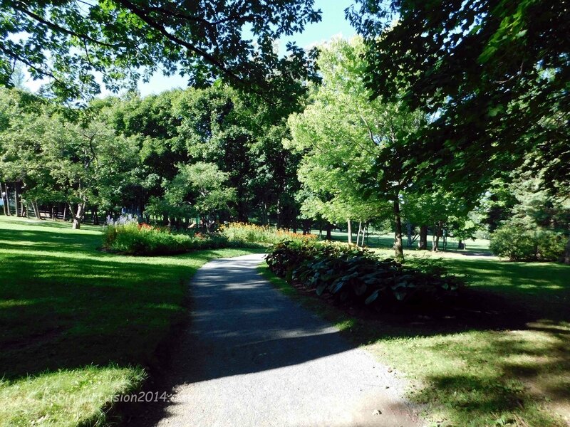 Bois-de-Coulonge-Arboretum-24