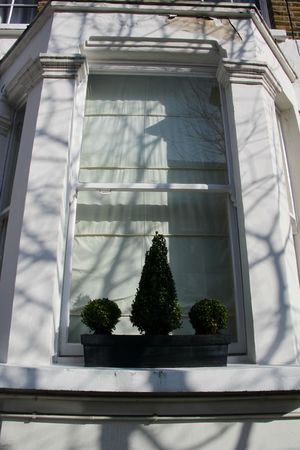 IMG_8663
