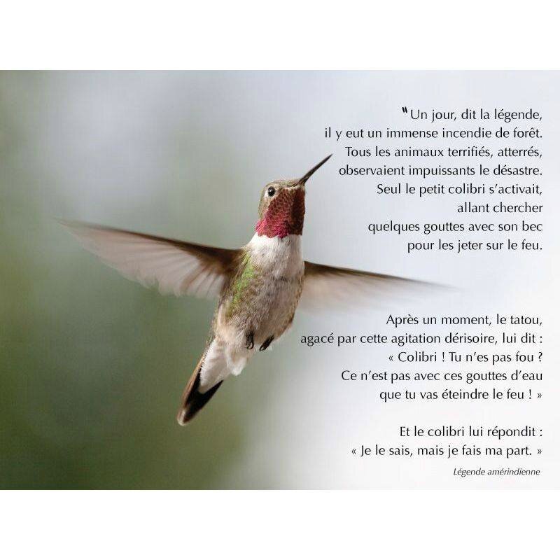 Légende du Colibri