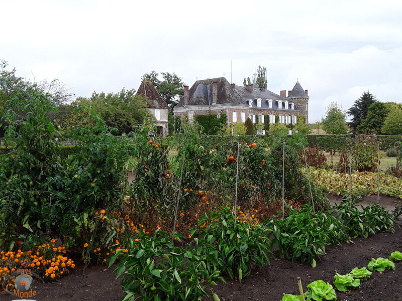 Jardin potager