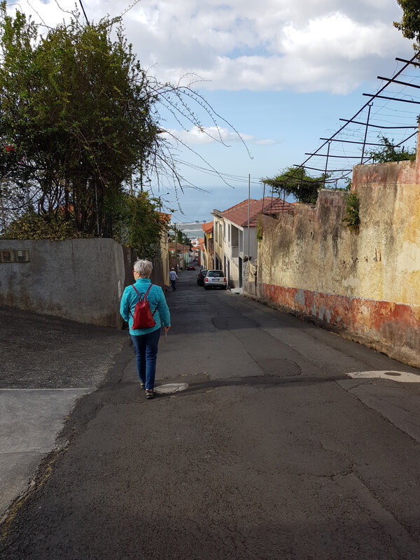 n 13 avril descente à pied vers Funchal (3)